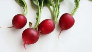 how to get the muddy taste out of fresh radishs