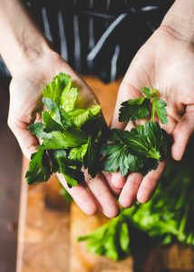are celery leaves edible
