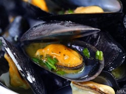 are mussels an aphrodisiac