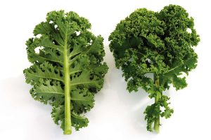 what does kale look like