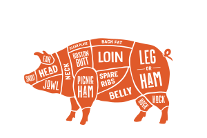 what part of the pig is bacon