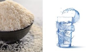 does riceit absorbs water