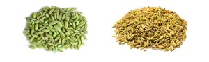 is fennel seed the same as anise seed