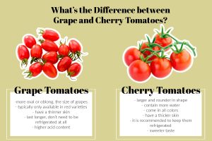 are grape and cherry tomatoes the same
