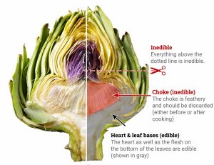 what do artichoke hearts taste like