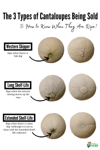 how to choose a cantaloupe