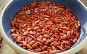 Can You Leave Beans Out Overnight