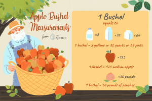 how many apples in a bushel