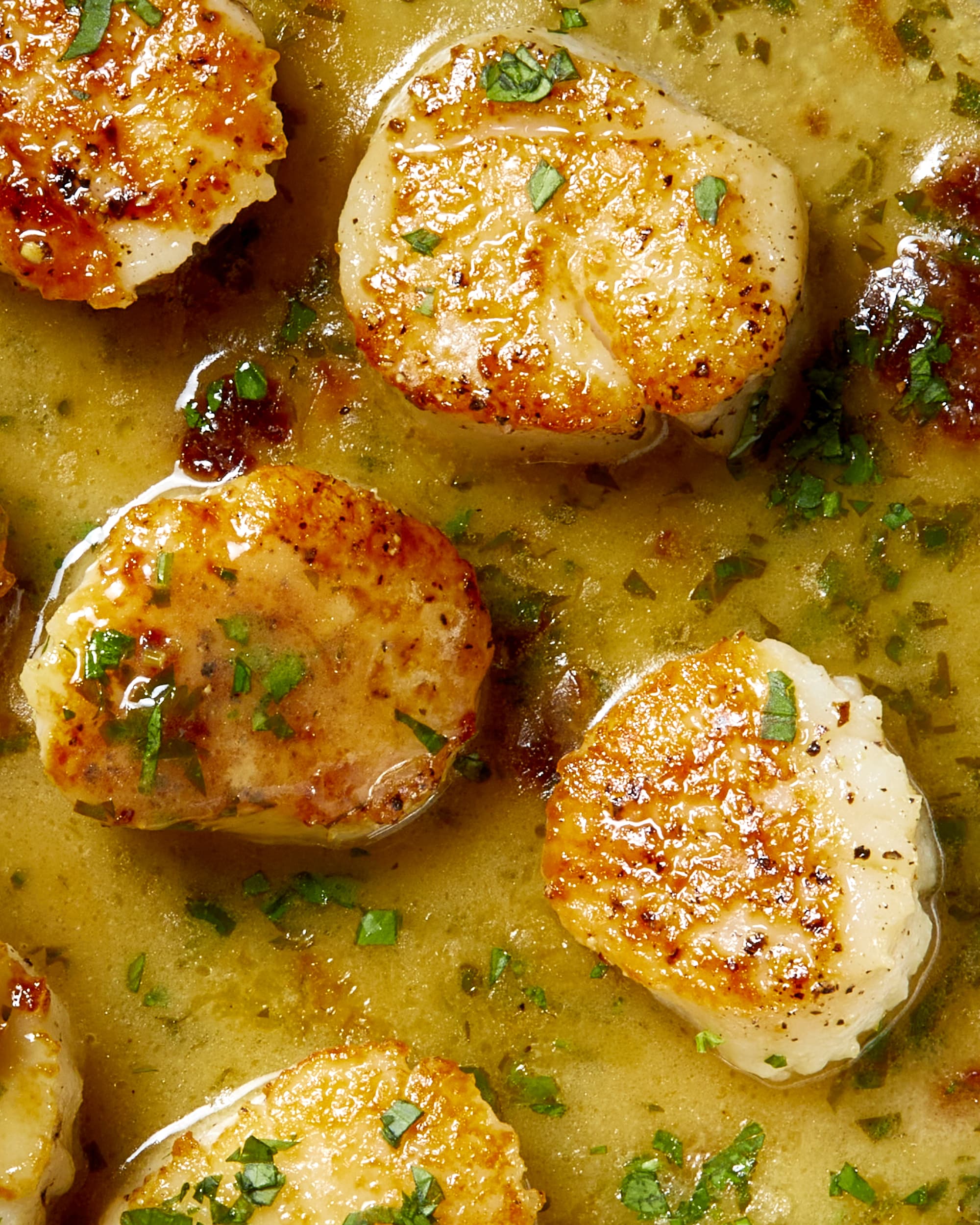 how to cook scallops on the stove