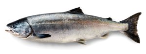 why is keta salmon cheap