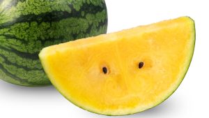 where to buy yellow watermelon