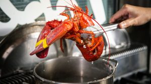 how to reheat lobster