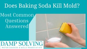 does baking soda kill mold