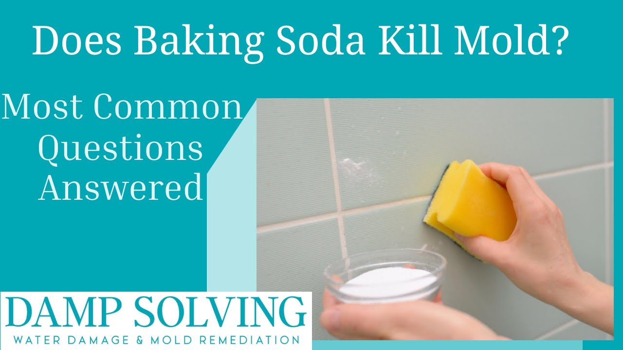 does baking soda kill mold