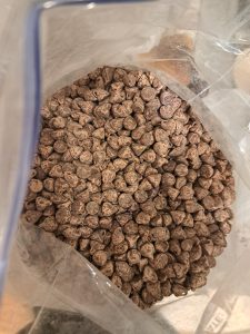 do chocolate chips expire