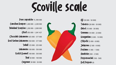 how to increase spice tolerance