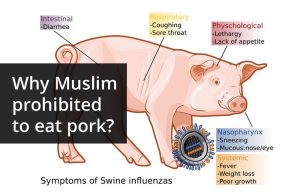 why cant muslims eat pork
