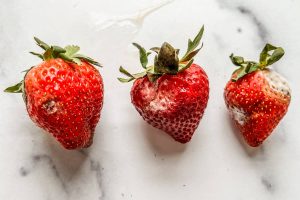what to do with strawberries going bad