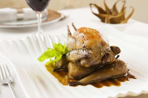 what is squab food