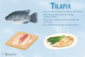 what does tilapia taste like
