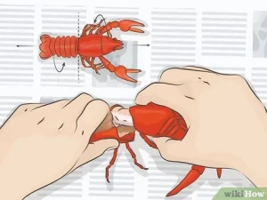 what part of the crawfish do you eat