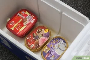 how to keep ice cream frozen in a cooler