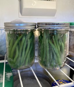how to freeze fresh green beans