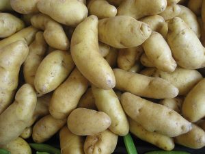 what food are fingerlings
