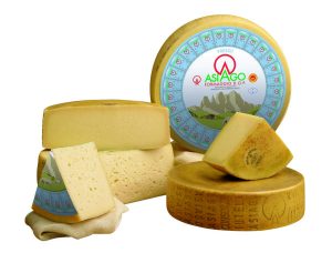 what is asiago cheese