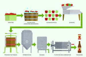 how is apple cider made