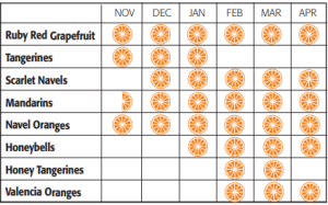 when are oranges in season