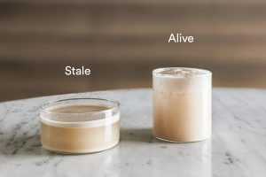 how to test yeast