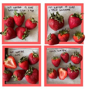 how do you clean strawberries