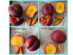 how do you ripen peaches