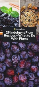 what to do with plums