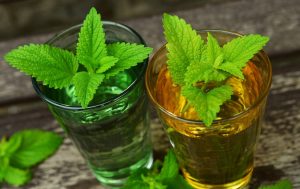 how to make lemon balm tea