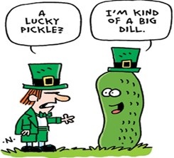 are pickles a vegetable
