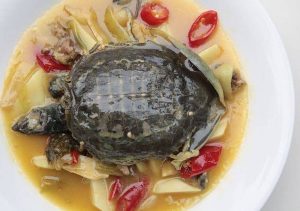 what does turtle taste like