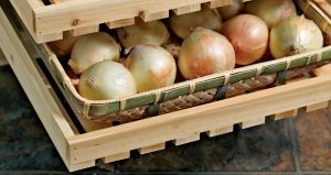 how to store onions