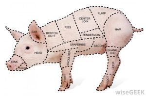 what is a pork shank