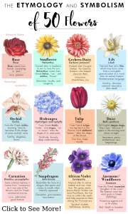 what do flowers symbolize