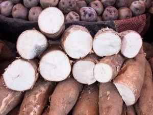 what is tapioca made from