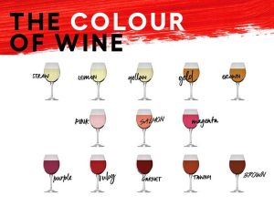 what does wine taste like