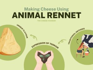 what is animal rennet