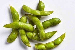 what are fava beans
