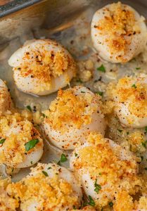 what oven temp to cook scallops