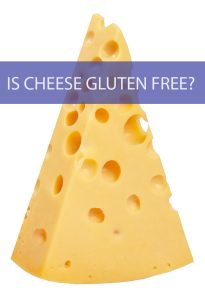 is cheese gluten free