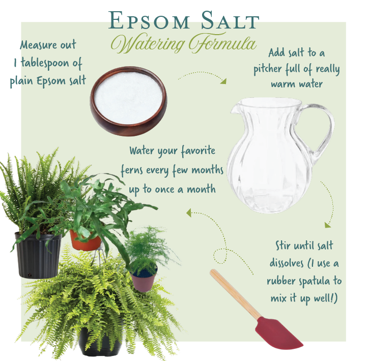 is epsom salt good for plants