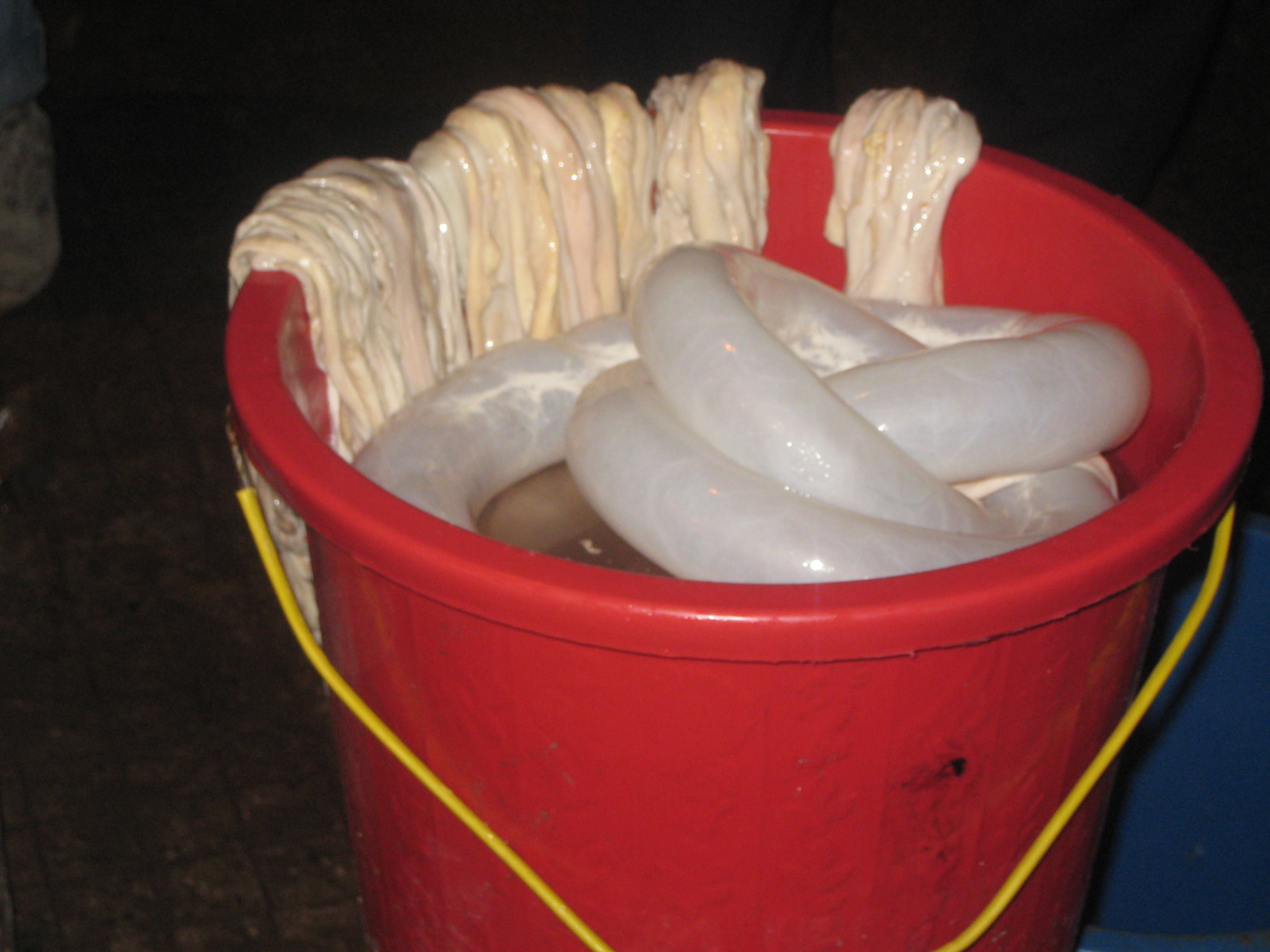 what is sausage casing made of
