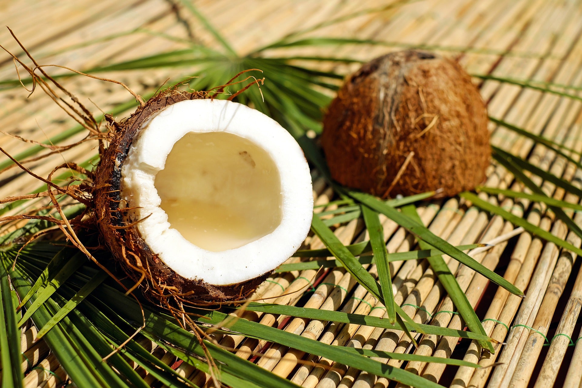 is coconut a nut